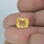 sMhLmnwu_MPBZZWEWUK_2023-09-10_1